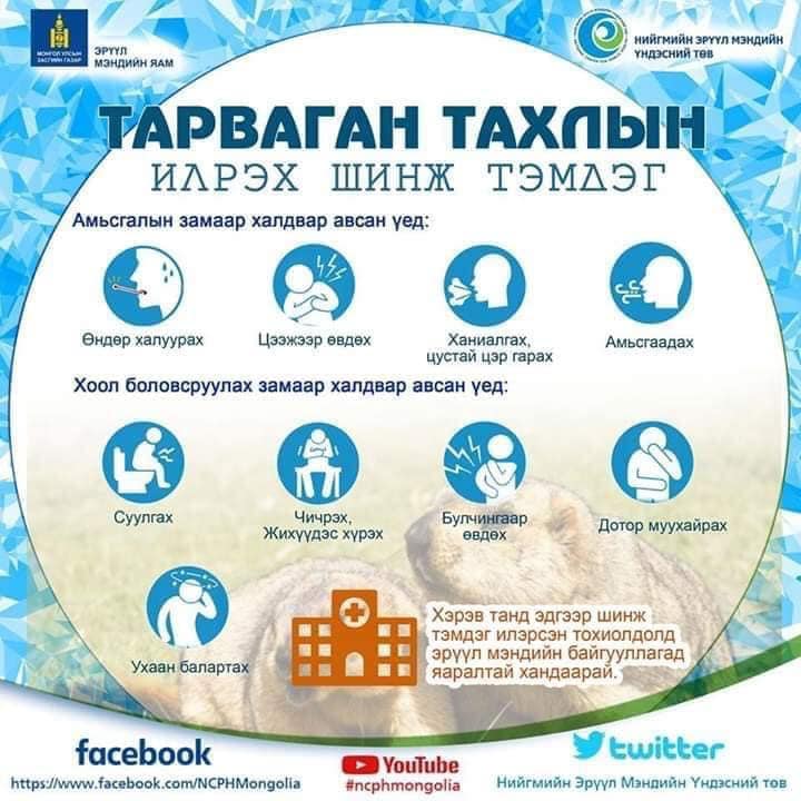 ТАРВАГАН ТАХАЛ ӨВЧНИЙ ЭРСДЭЛТ ҮЙЛДЛҮҮДЭЭС ТАТГАЛЗЪЯ
