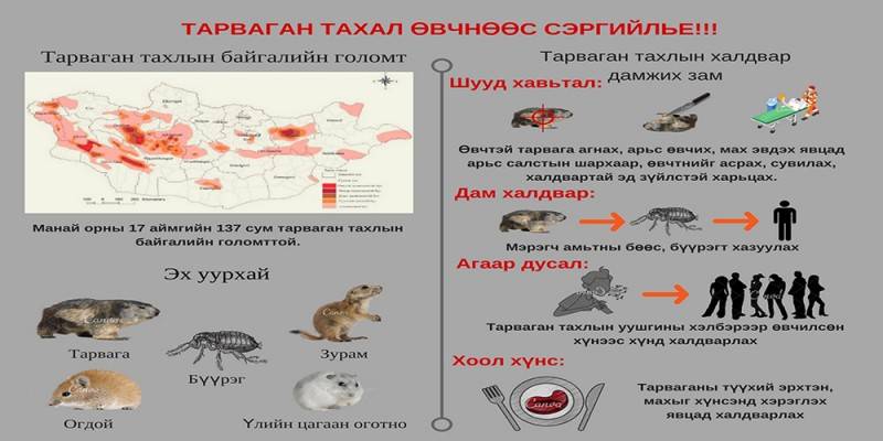 ЗООНОЗЫН ӨВЧИН СУДЛАЛЫН ТӨВӨӨС ИРГЭДЭД АНХААРУУЛЛАА